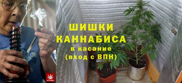 мяу мяу мука Горно-Алтайск