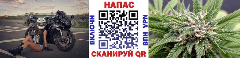Купить закладки  Кола  Шишки марихуана MAZAR 